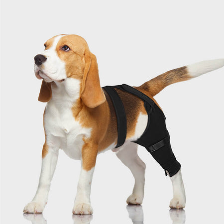 Dog Single Rear Leg Sleeve_black-supet