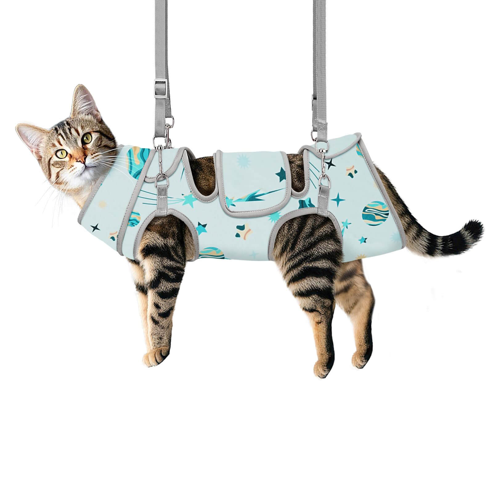 Cat Grooming Hammock_blue-Supet