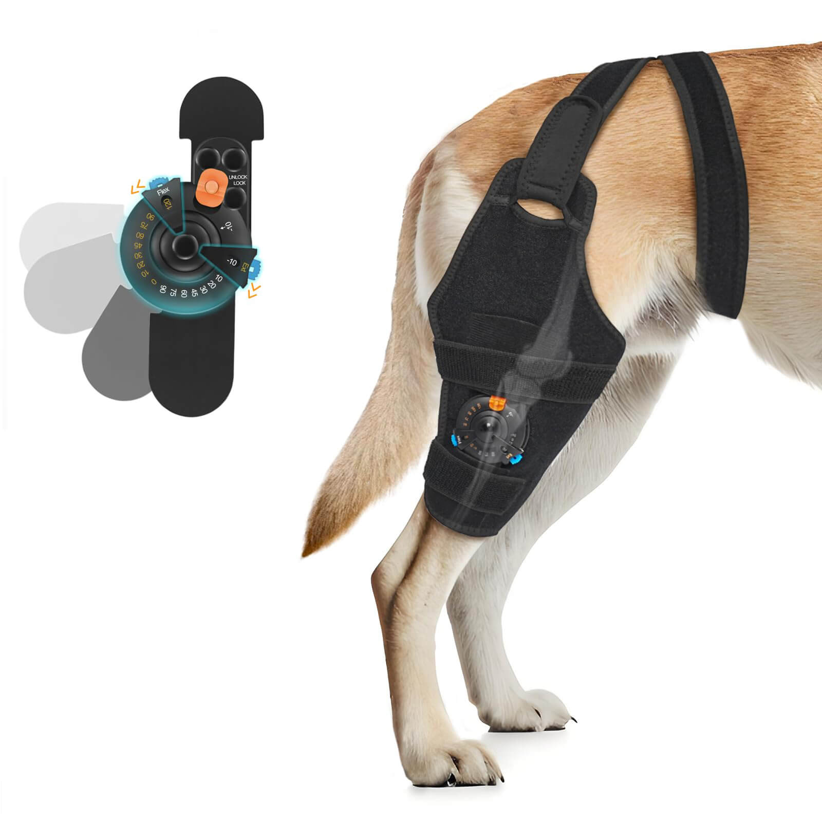 Dog Back Leg Knee Brace-Supet