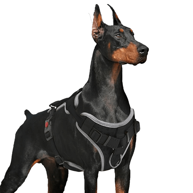 Dog Vest Harness_black-supet