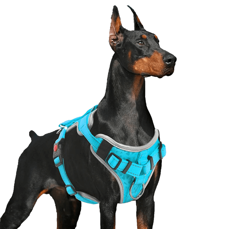Dog Vest Harness_blue-supet