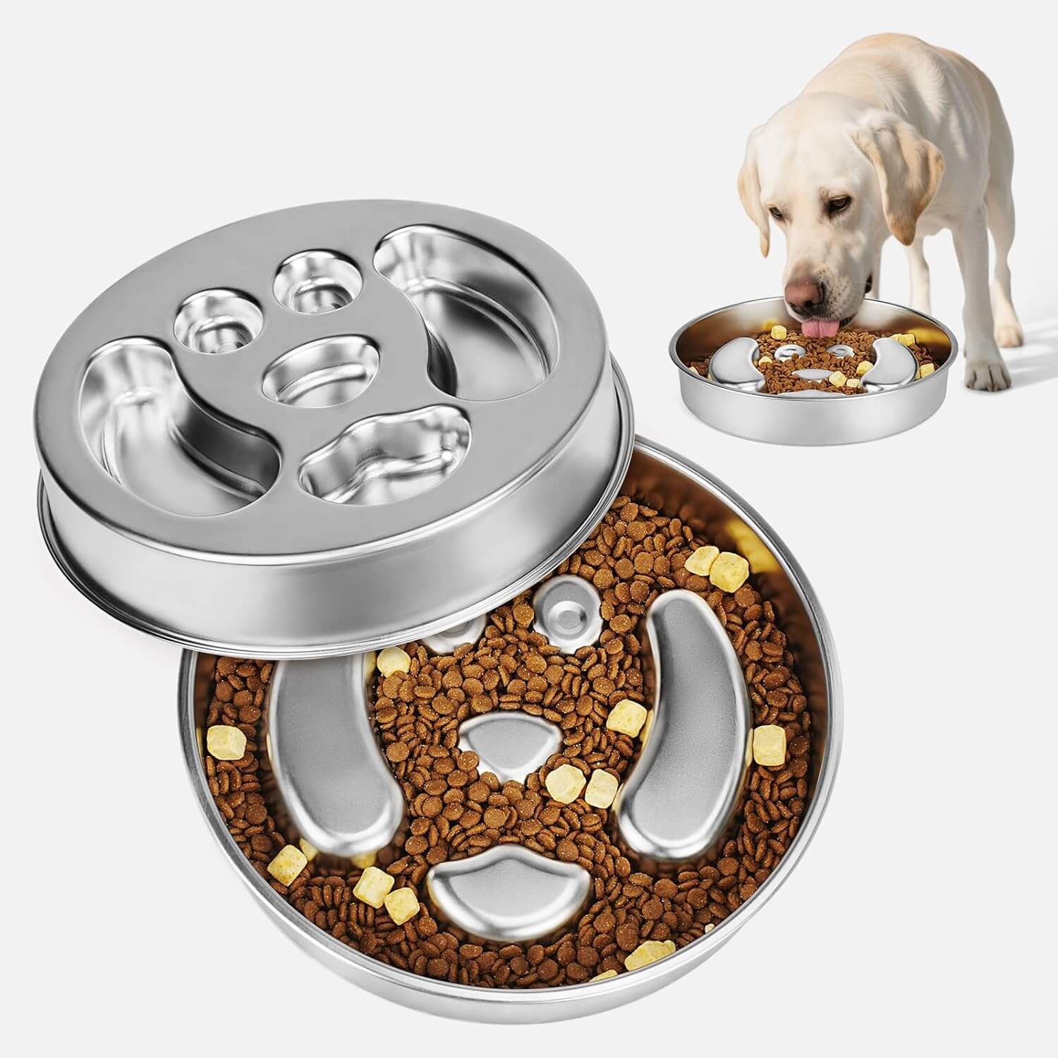 Slow Dog Feeder_Dog face-supet