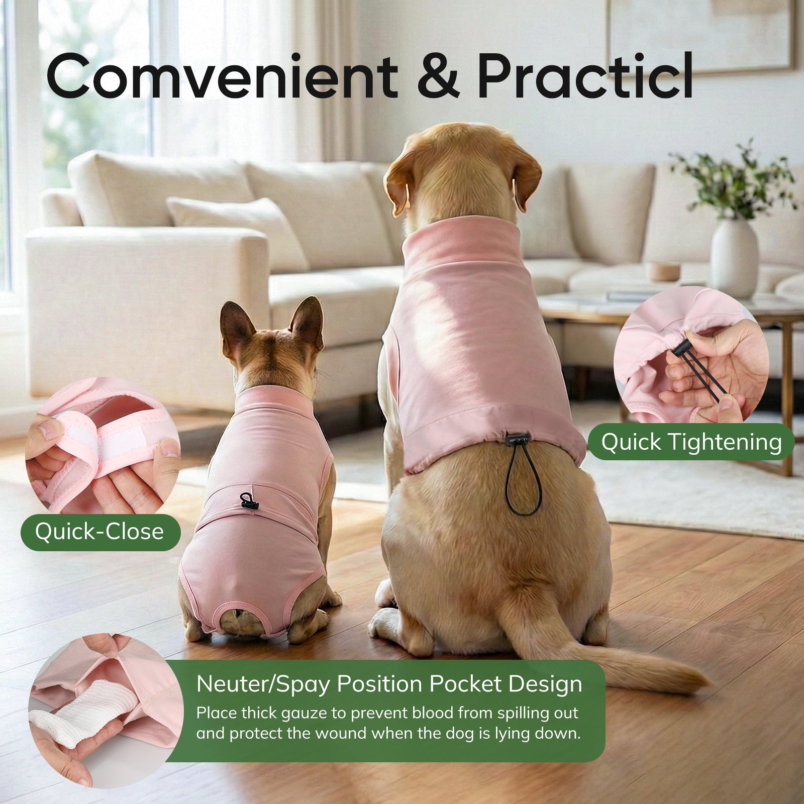 Dog Recovery Suit1-supet