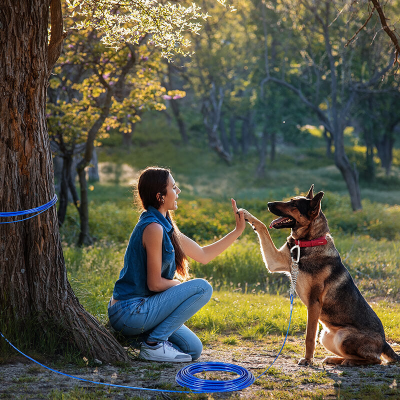 Dog Tie Out Cable-Supet
