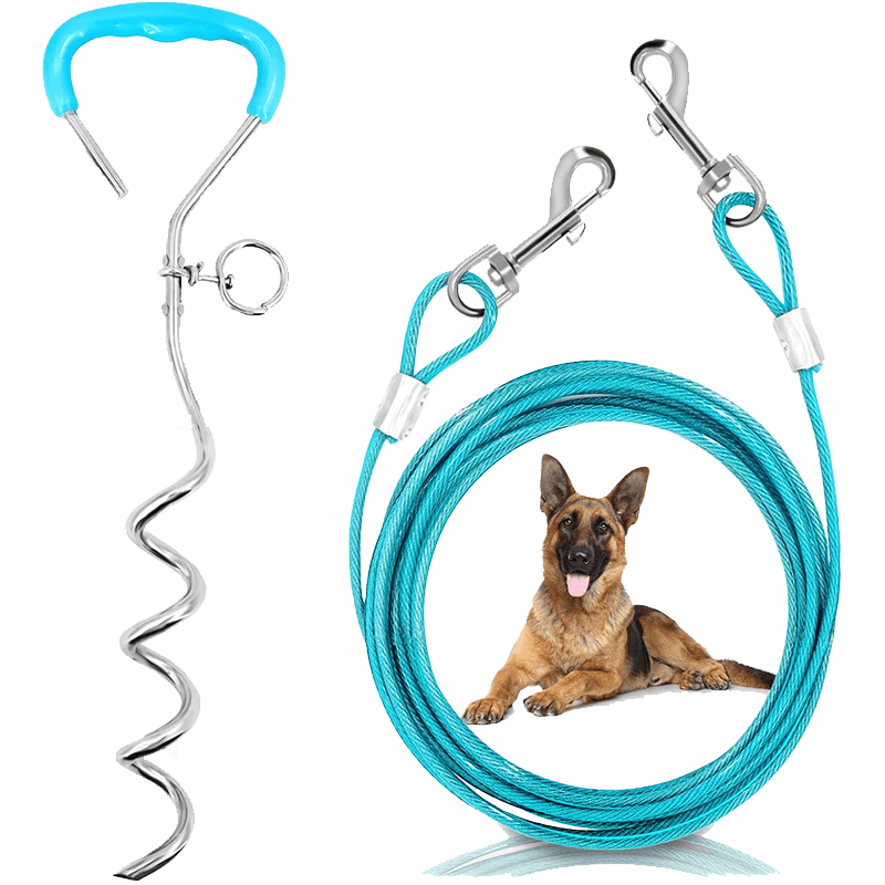 Dog Tie Out Cable and Stake_turquoise-Supet