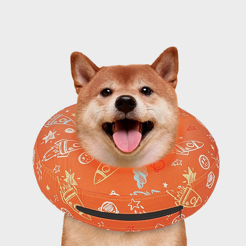 Inflatable Dog Cone6-supet