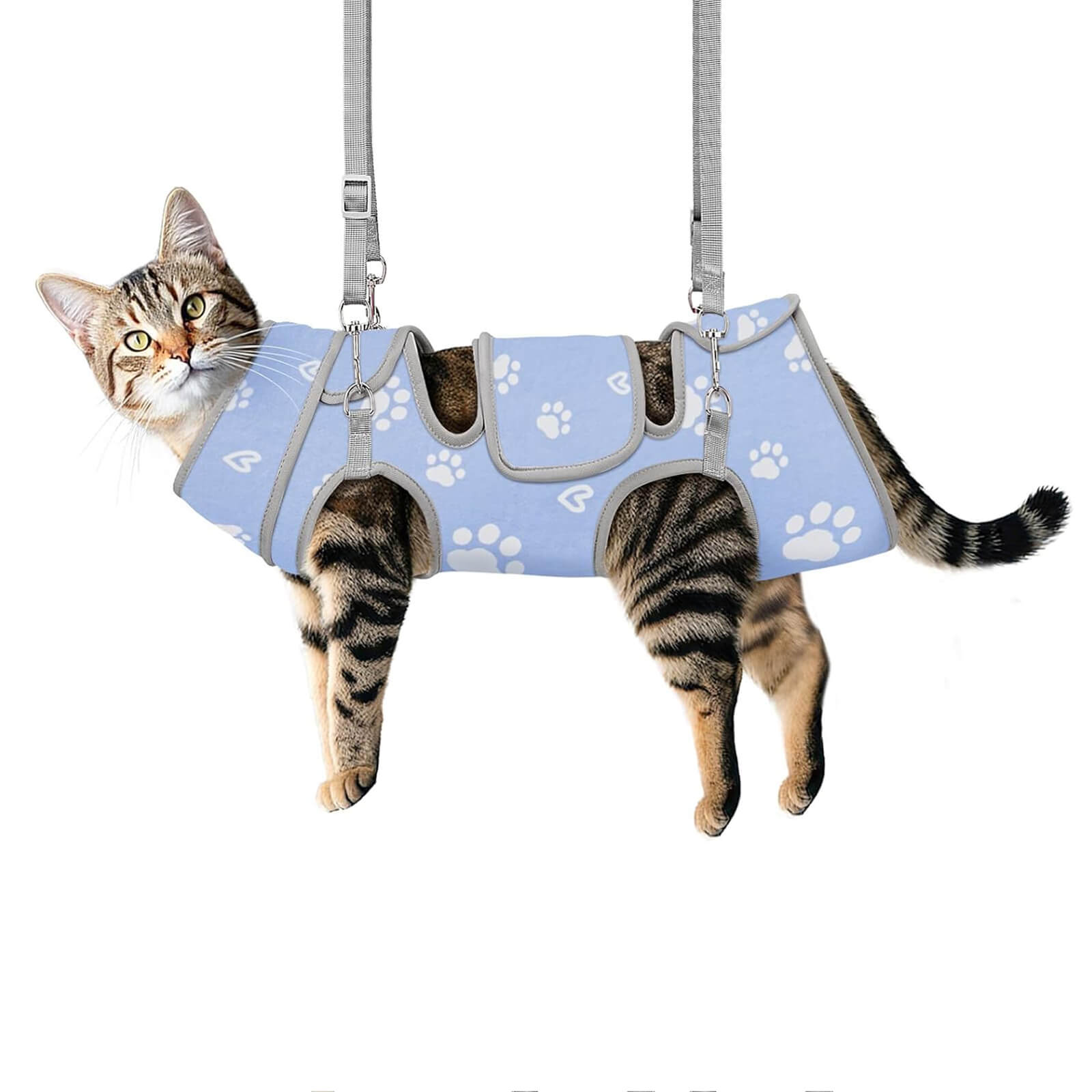 Cat Grooming Hammock_purple-Supet