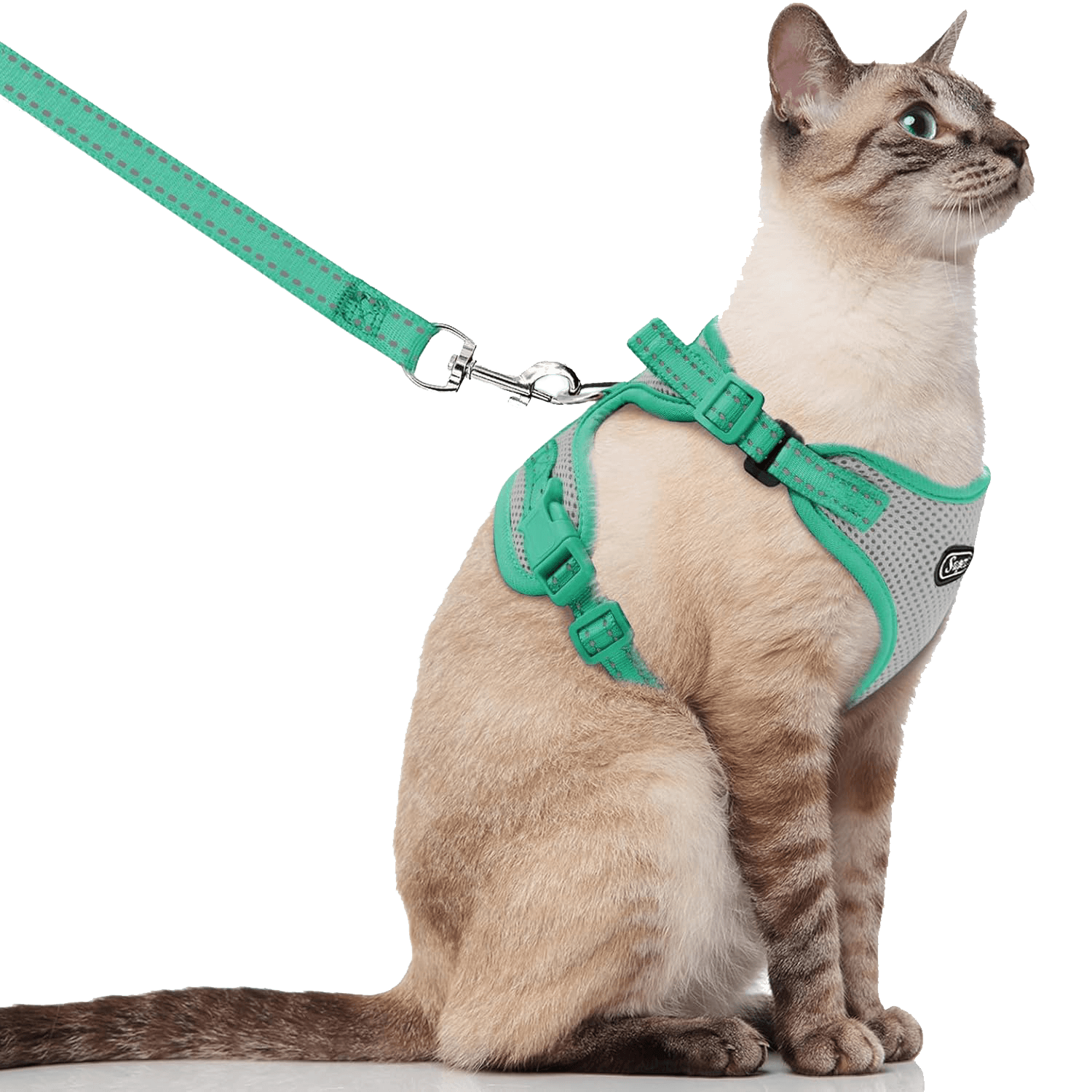 Cat Harness and Leash_grey-supet