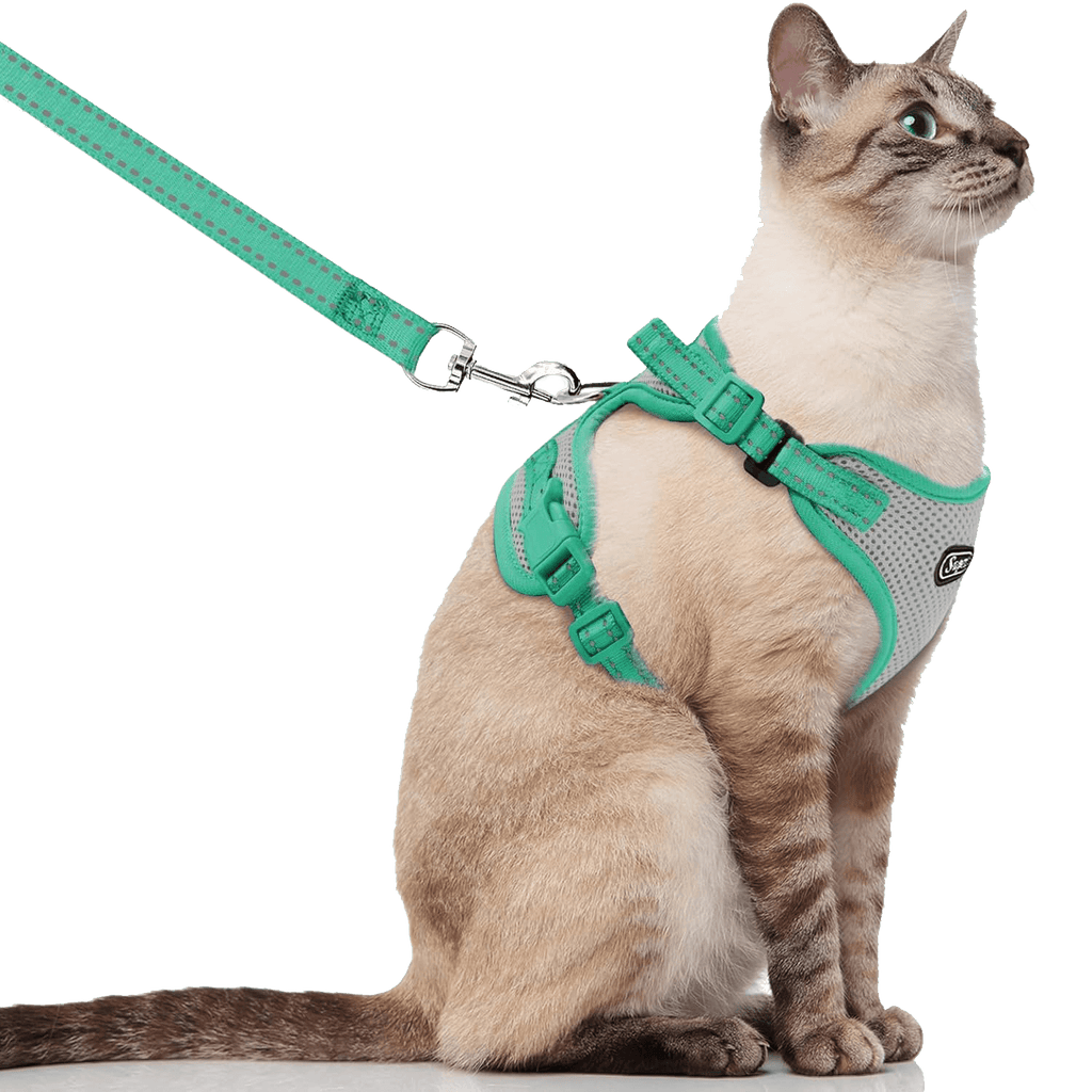 Cat Harness and Leash_grey-supet
