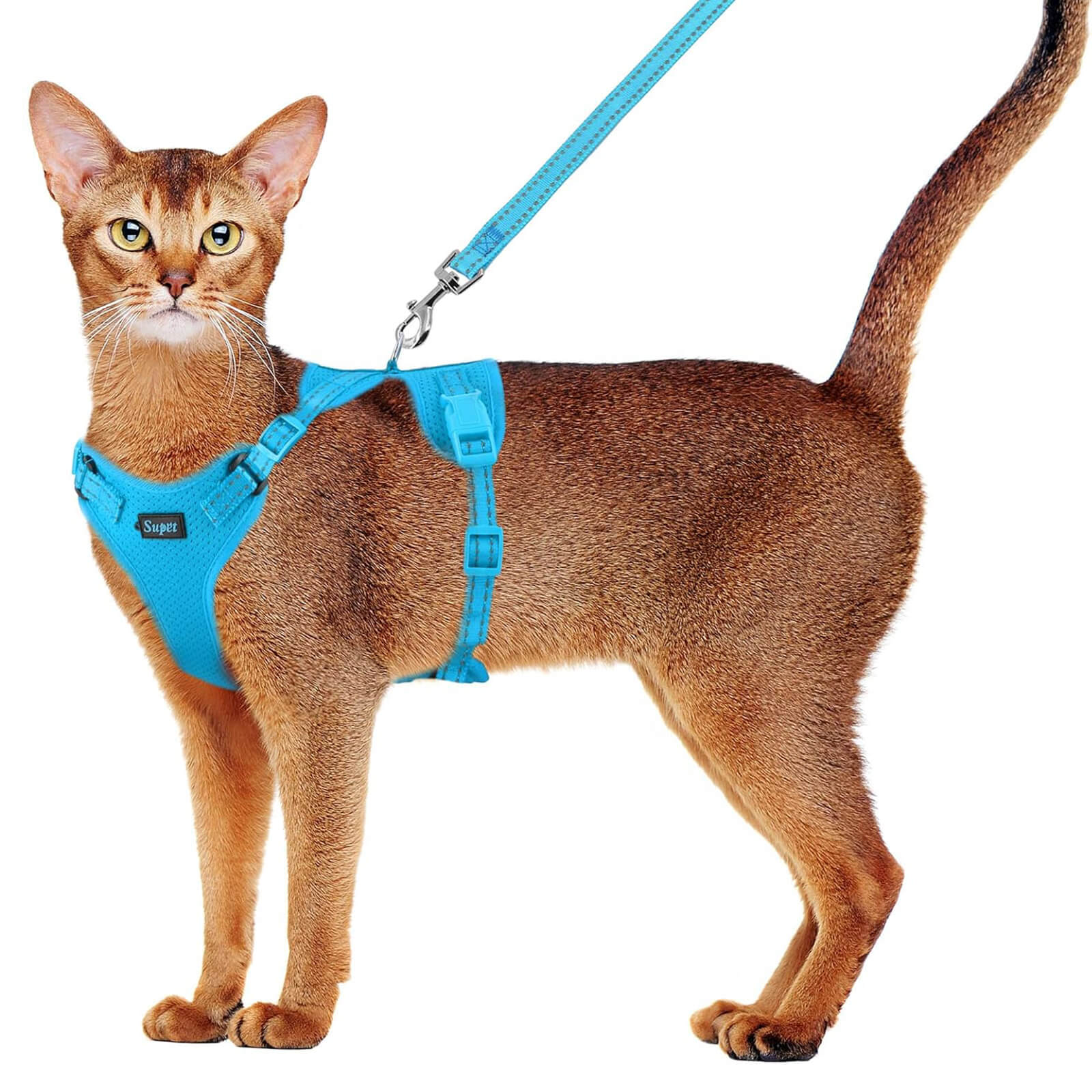 Cat Harness and Leash Set_blue-supet