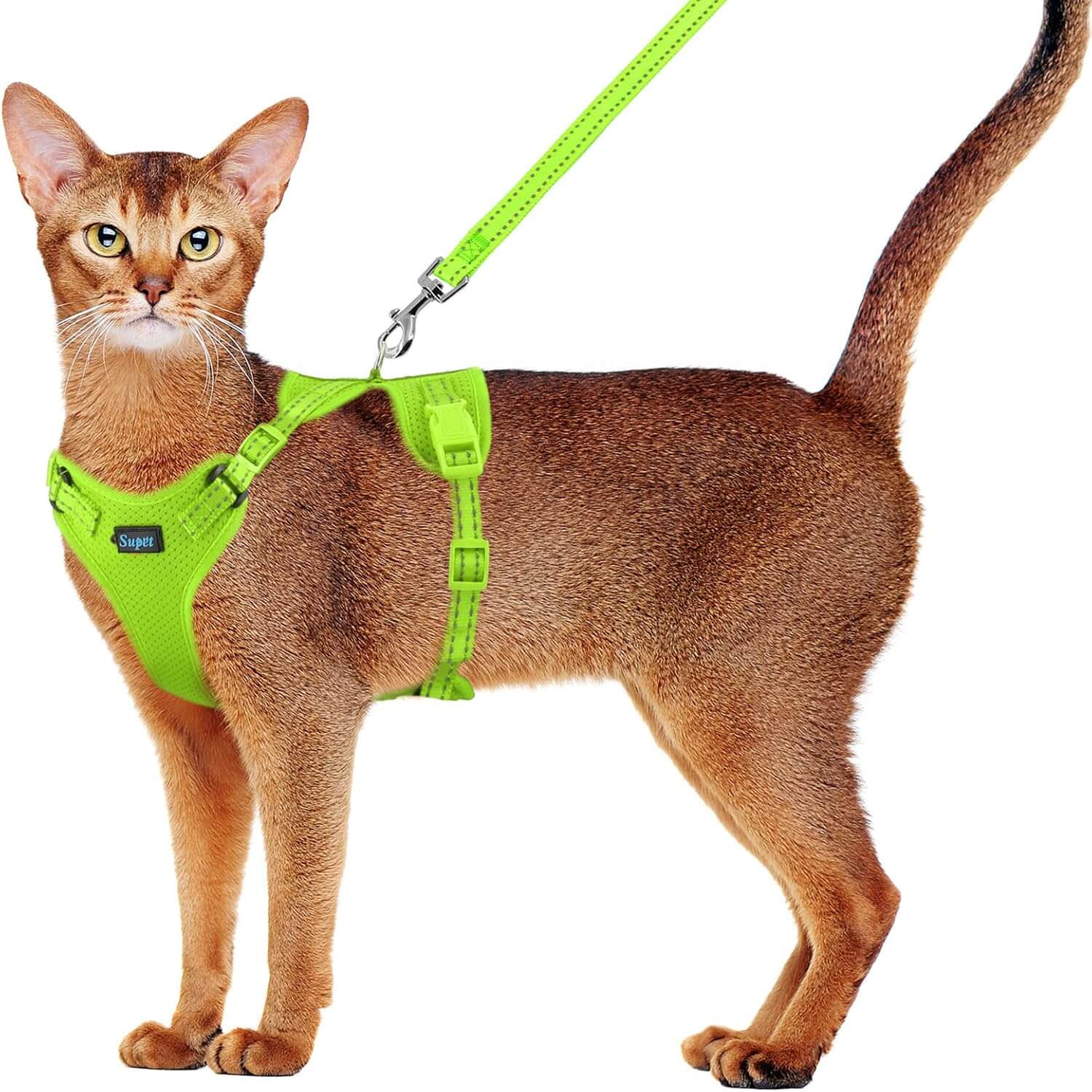 Cat Harness and Leash Set_green-supet