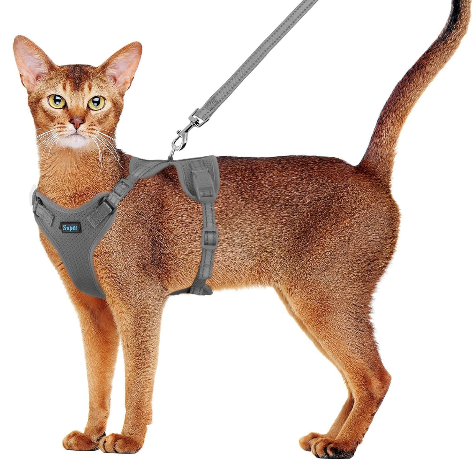 Cat Harness and Leash Set_grey-supet