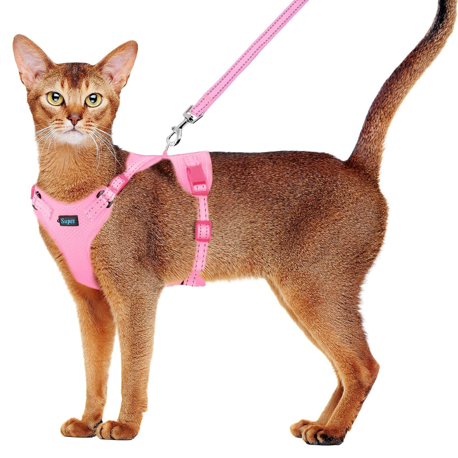 Cat Harness and Leash Set_pink-supet