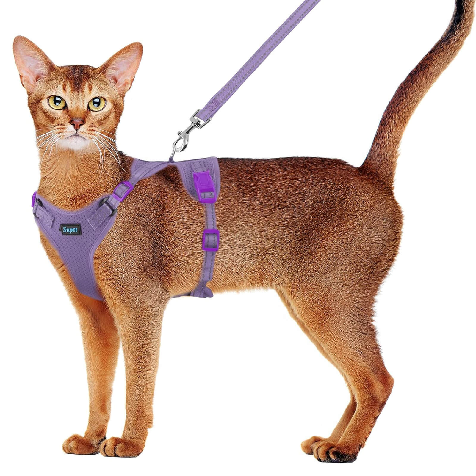 Cat Harness and Leash Set_purple-supet