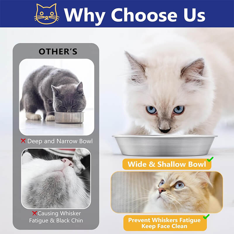 Cat Dishes3-supet