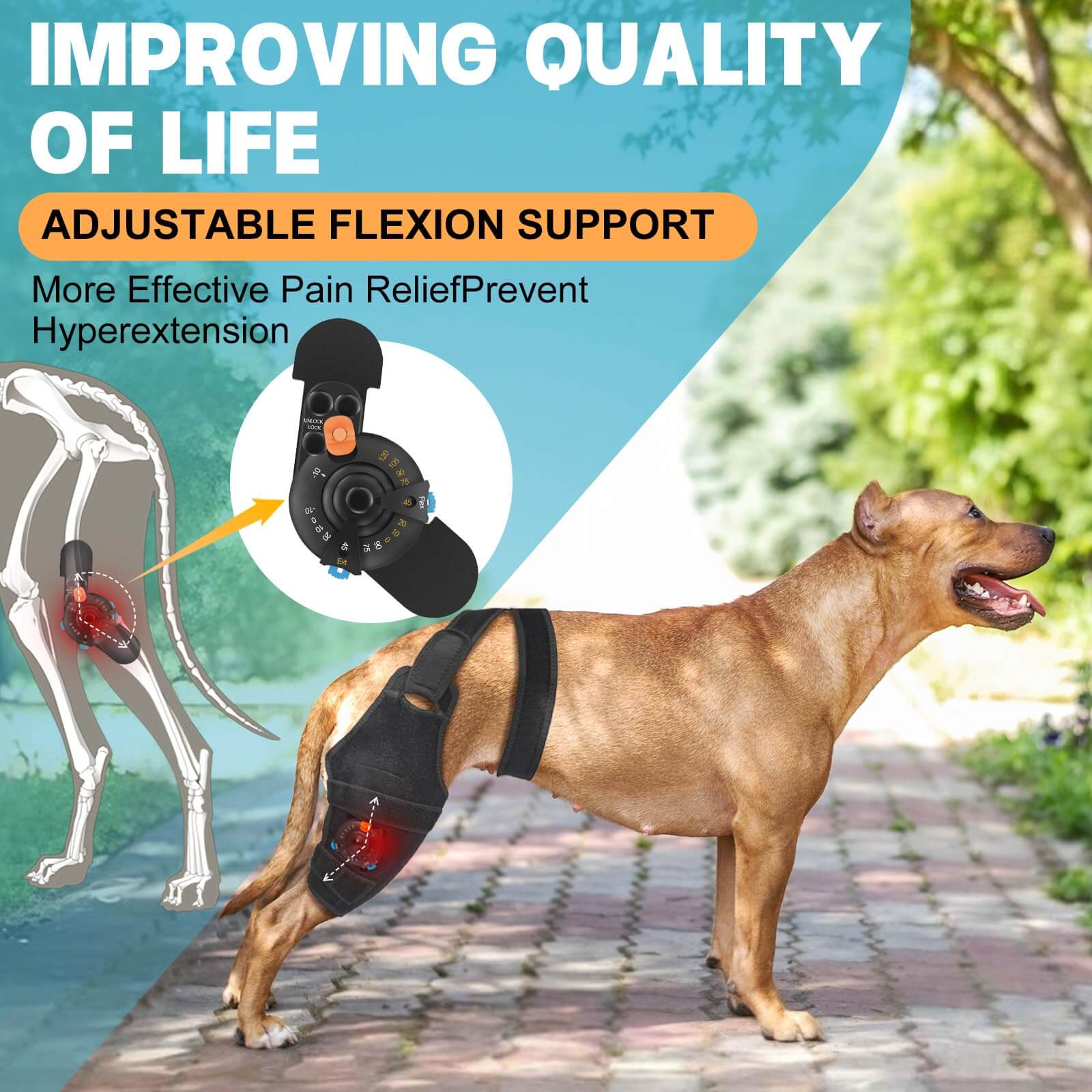 Dog Back Leg Knee Brace2-Supet