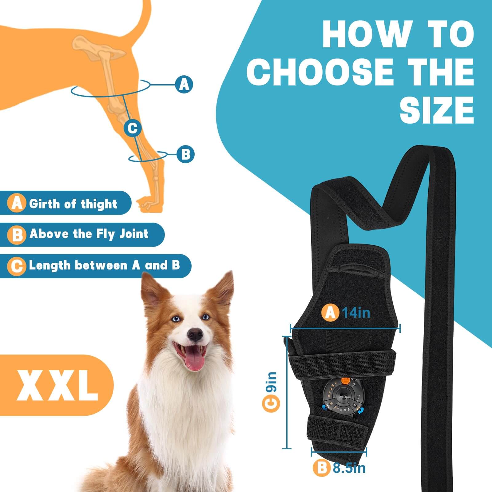 Dog Back Leg Knee Brace3-Supet