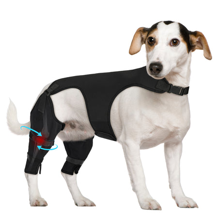 Dog Back Leg Sleeve_black-supet