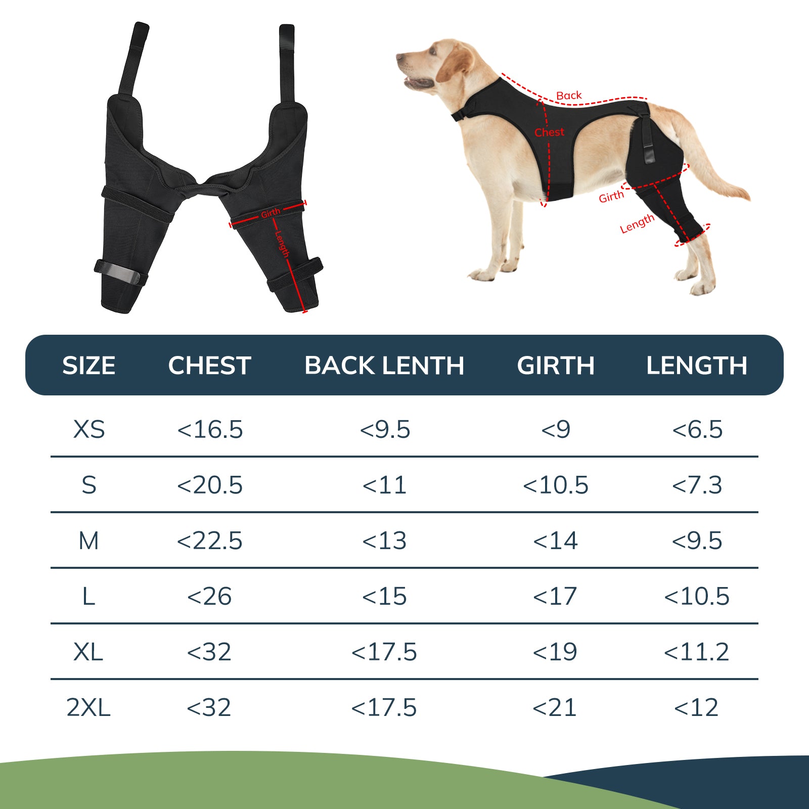 Dog Back Leg Sleeve_size-supet