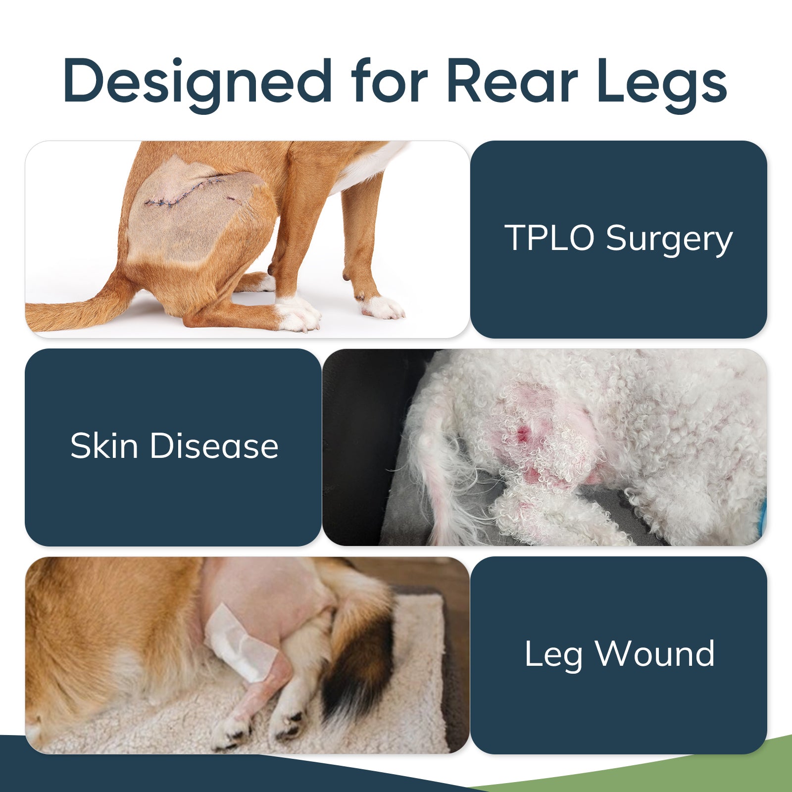 Dog Back Leg Sleeve1-supet