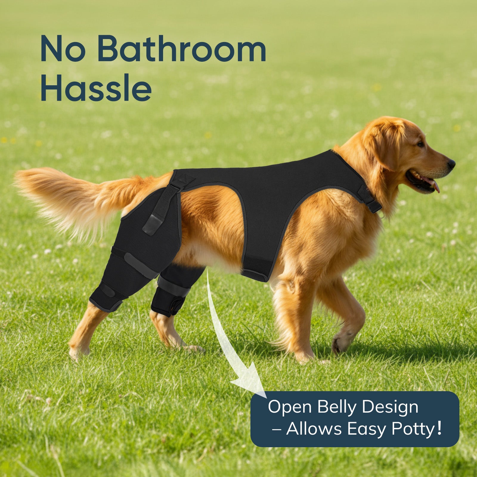 Dog Back Leg Sleeve2-supet