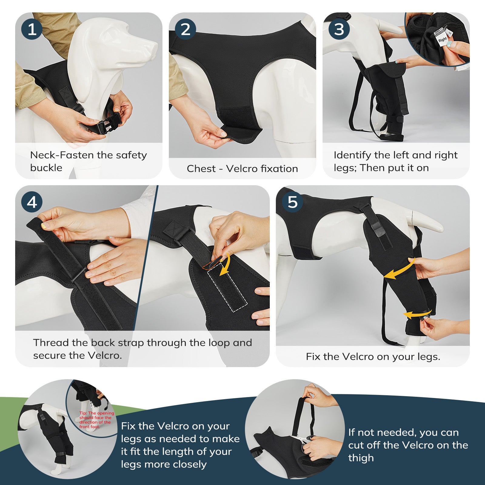 Dog Back Leg Sleeve5-supet