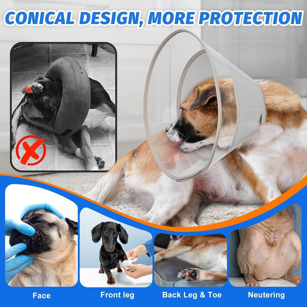 Dog Cone1-supet