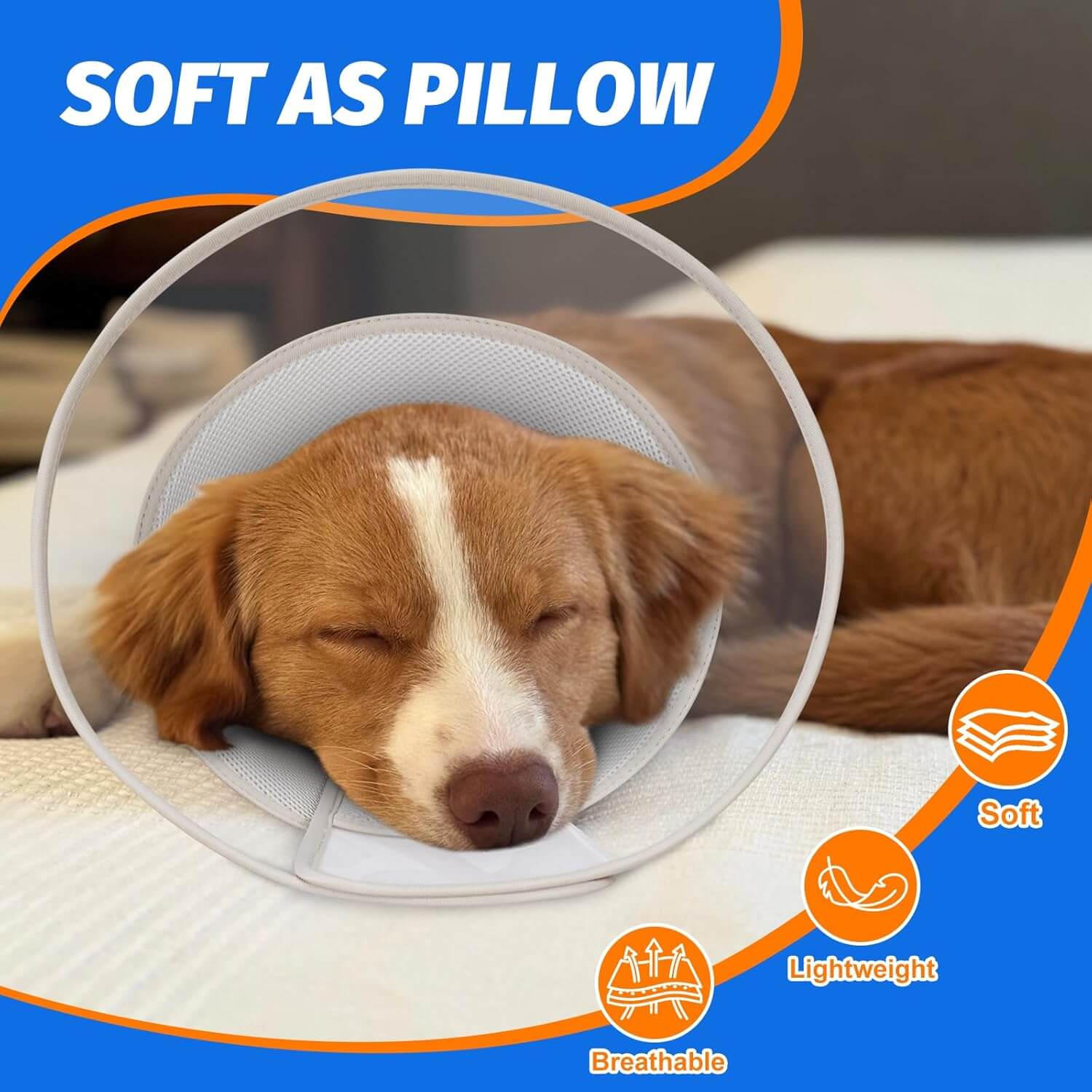 Dog Cone4-supet
