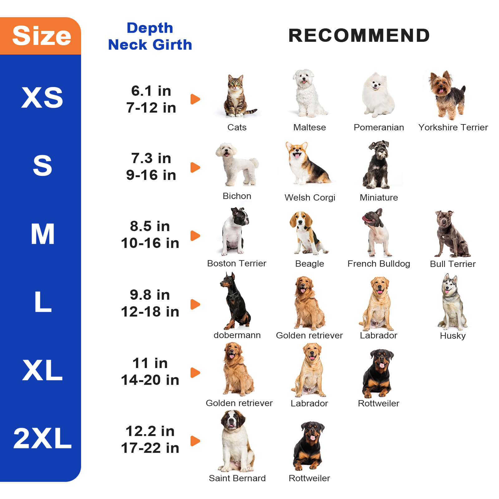 Dog Cone9-supet
