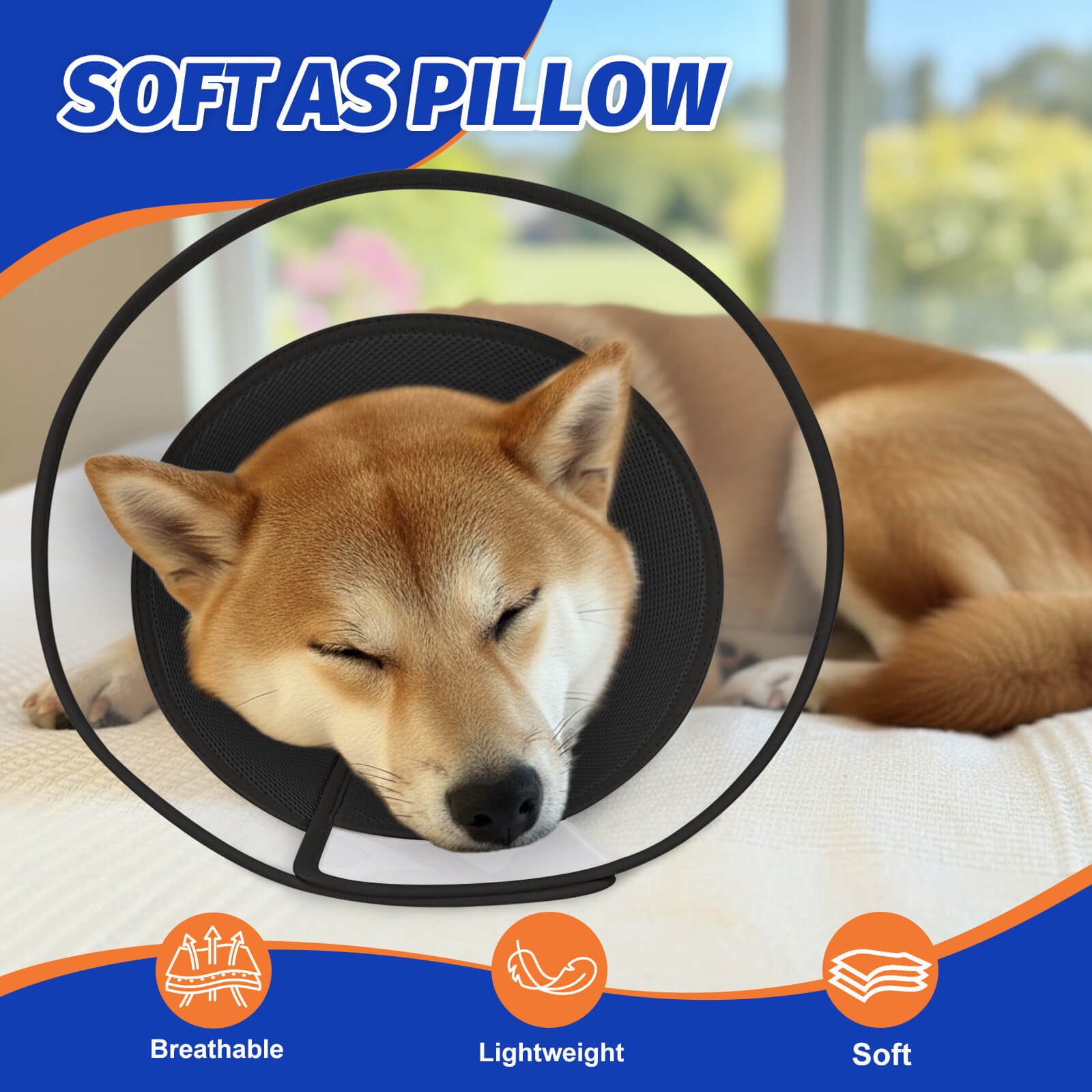 Dog Cone3-supet