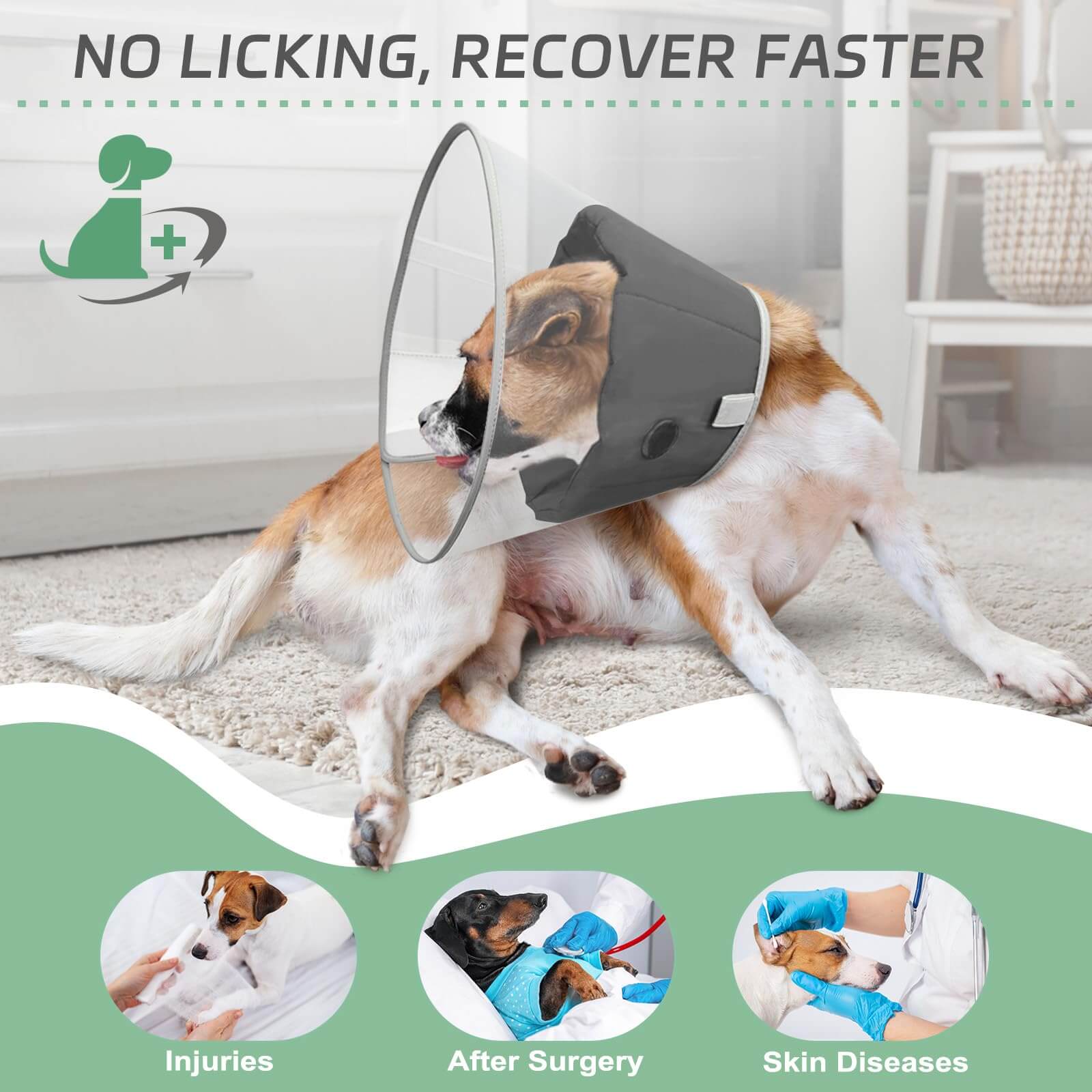 Dog Cone with pad1-Supet