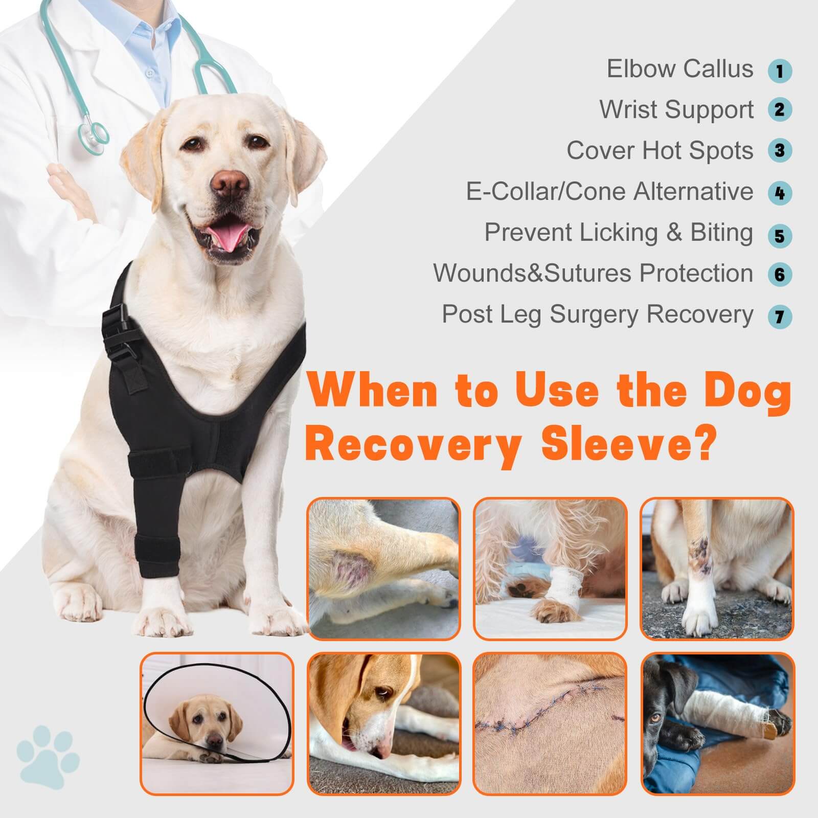 Dog Elbow Sleeve5-supet