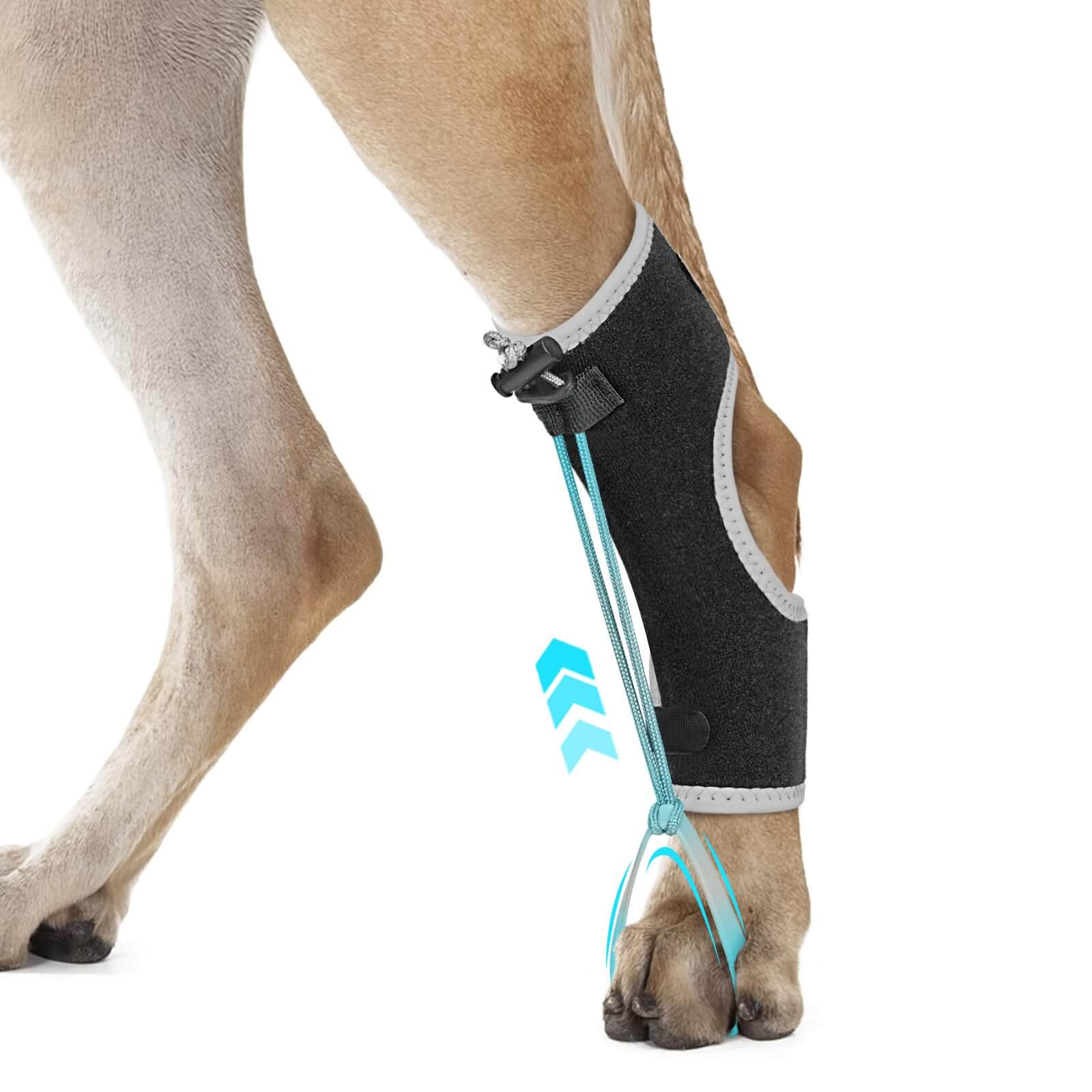 Dog Knuckling Brace_black-supet