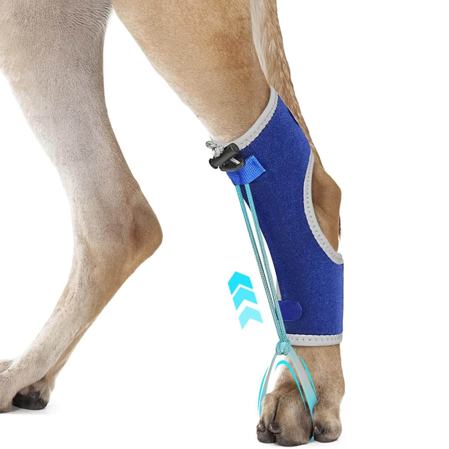 Dog Knuckling Brace_blue-supet