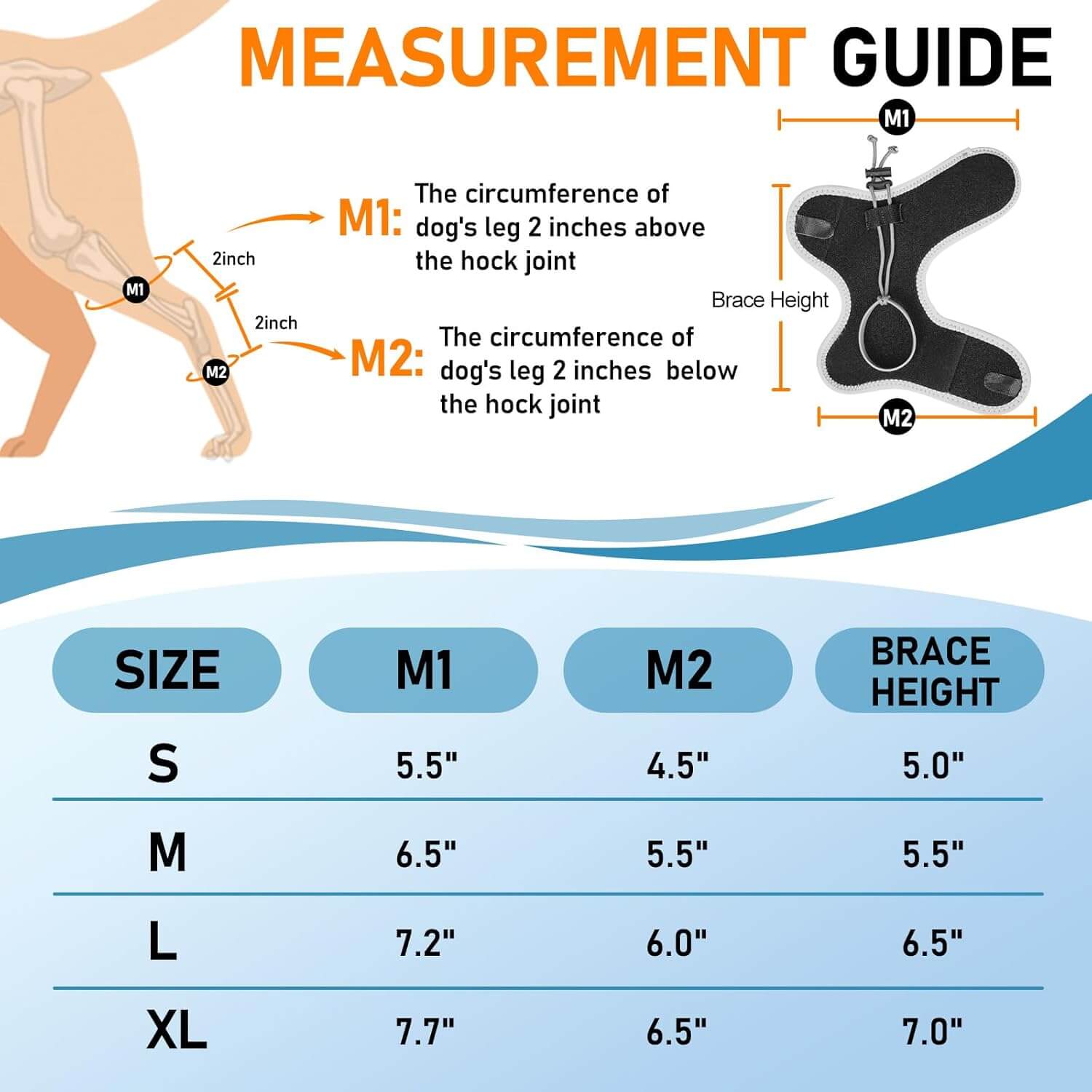 Dog Knuckling Brace_size-supet