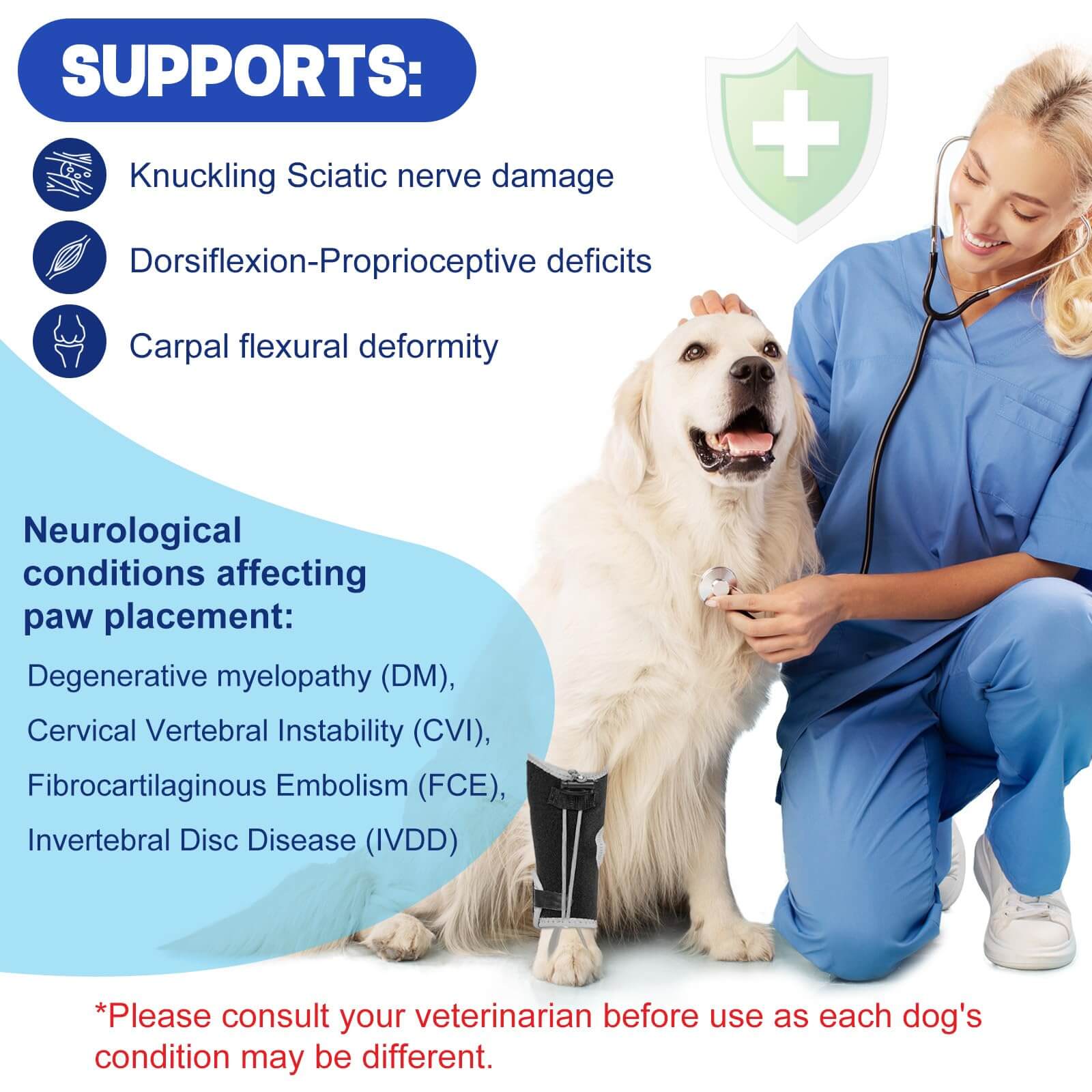 Dog Knuckling Brace1-supet