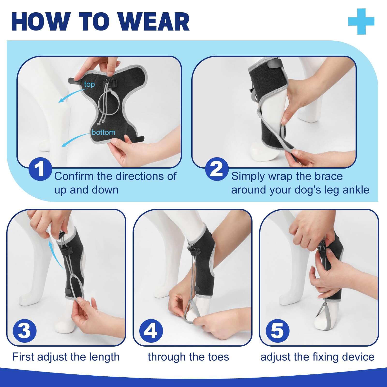 Dog Knuckling Brace5-supet