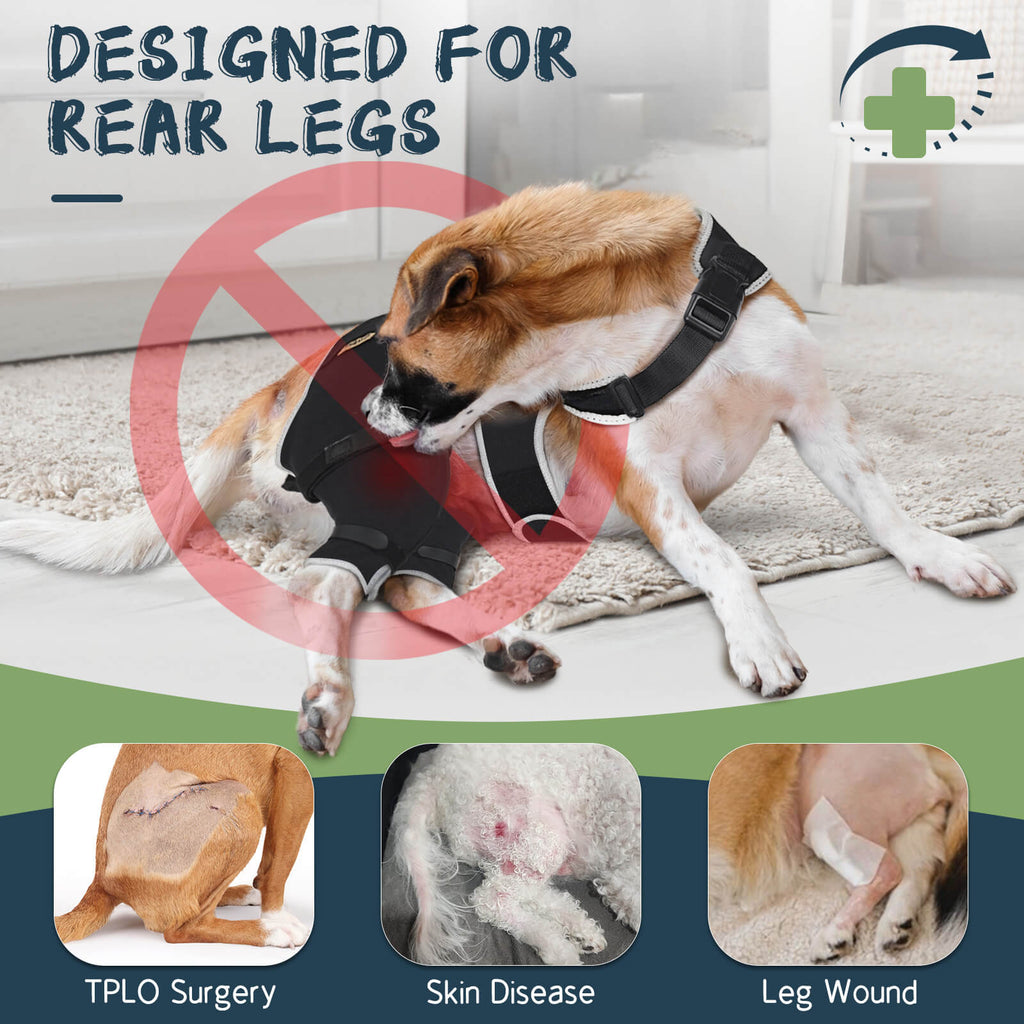 Dog Rear Leg Sleeve2-Supet