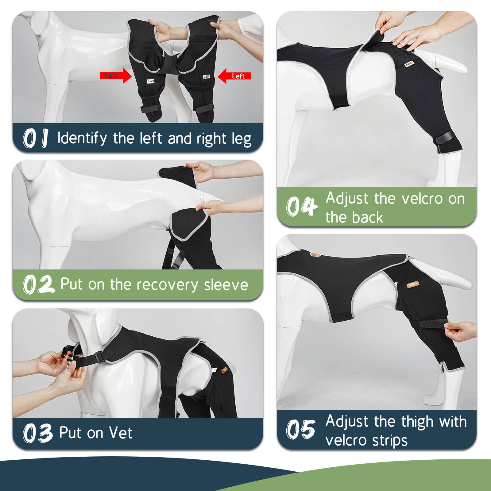 Dog Rear Leg Sleeve4-Supet