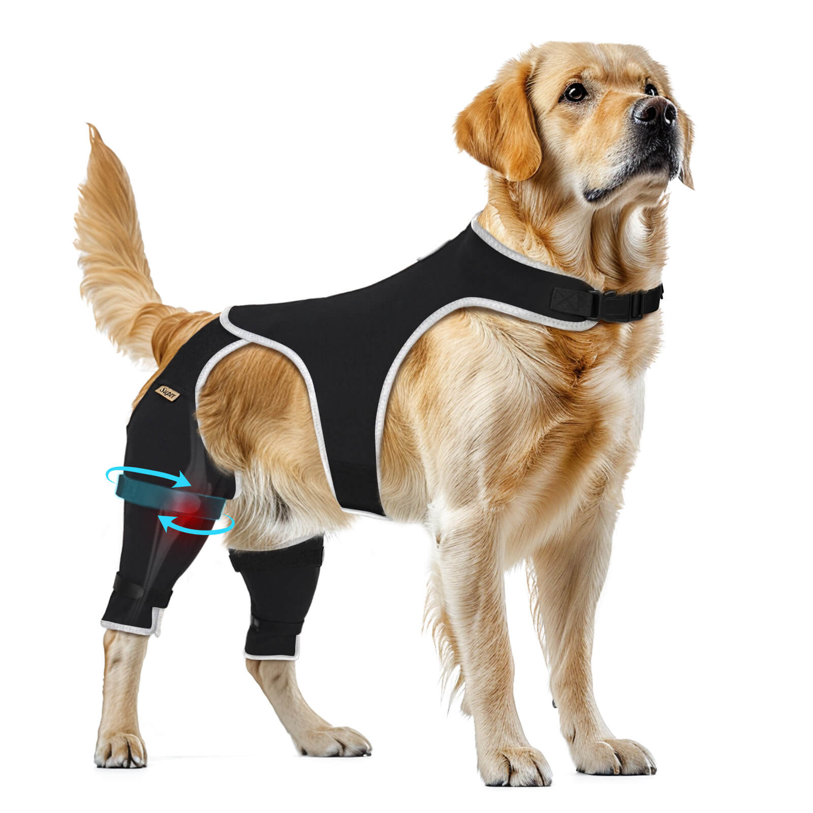 Dog Rear Leg Sleeve_Reflective-Supet