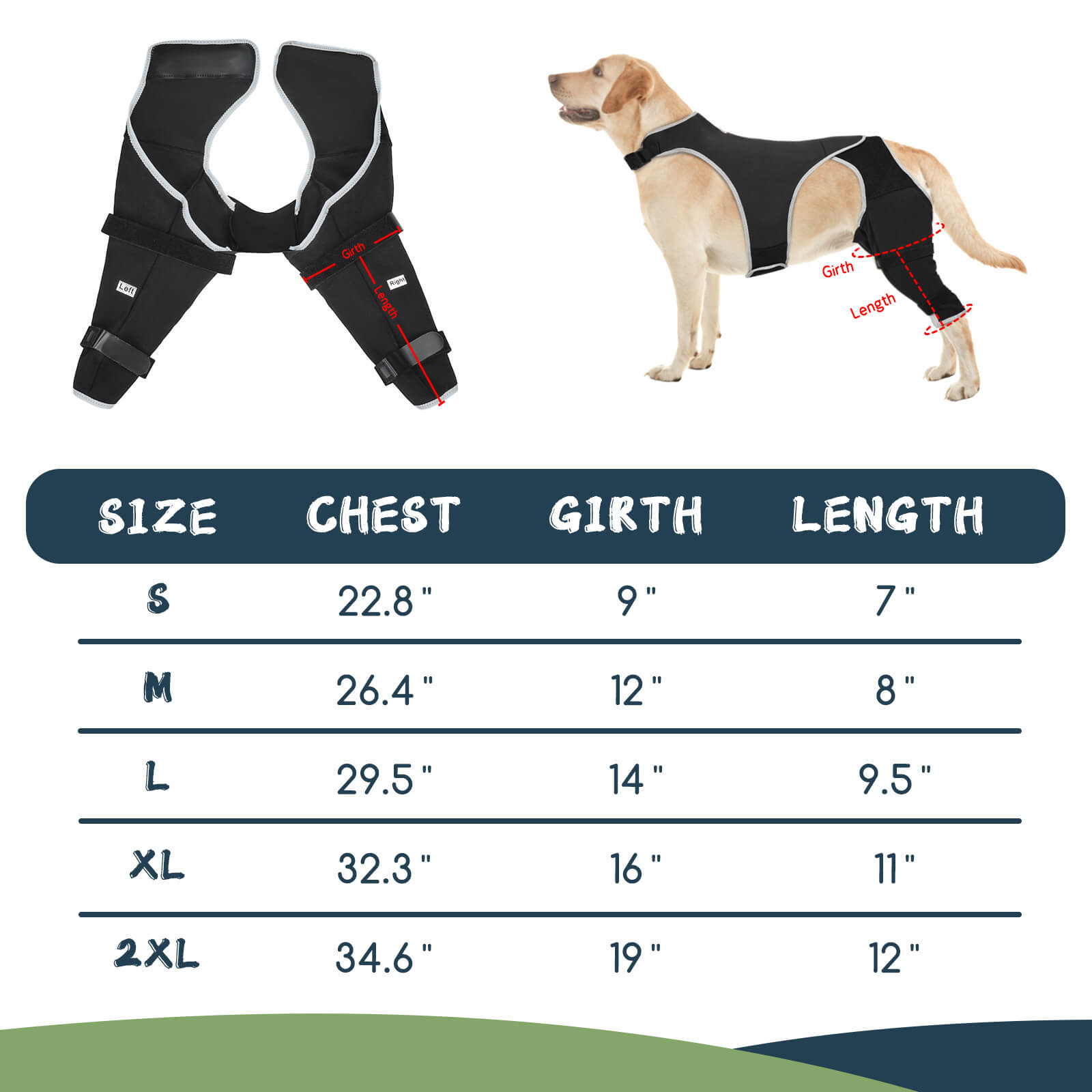 Dog Rear Leg Sleeve_size-Supet