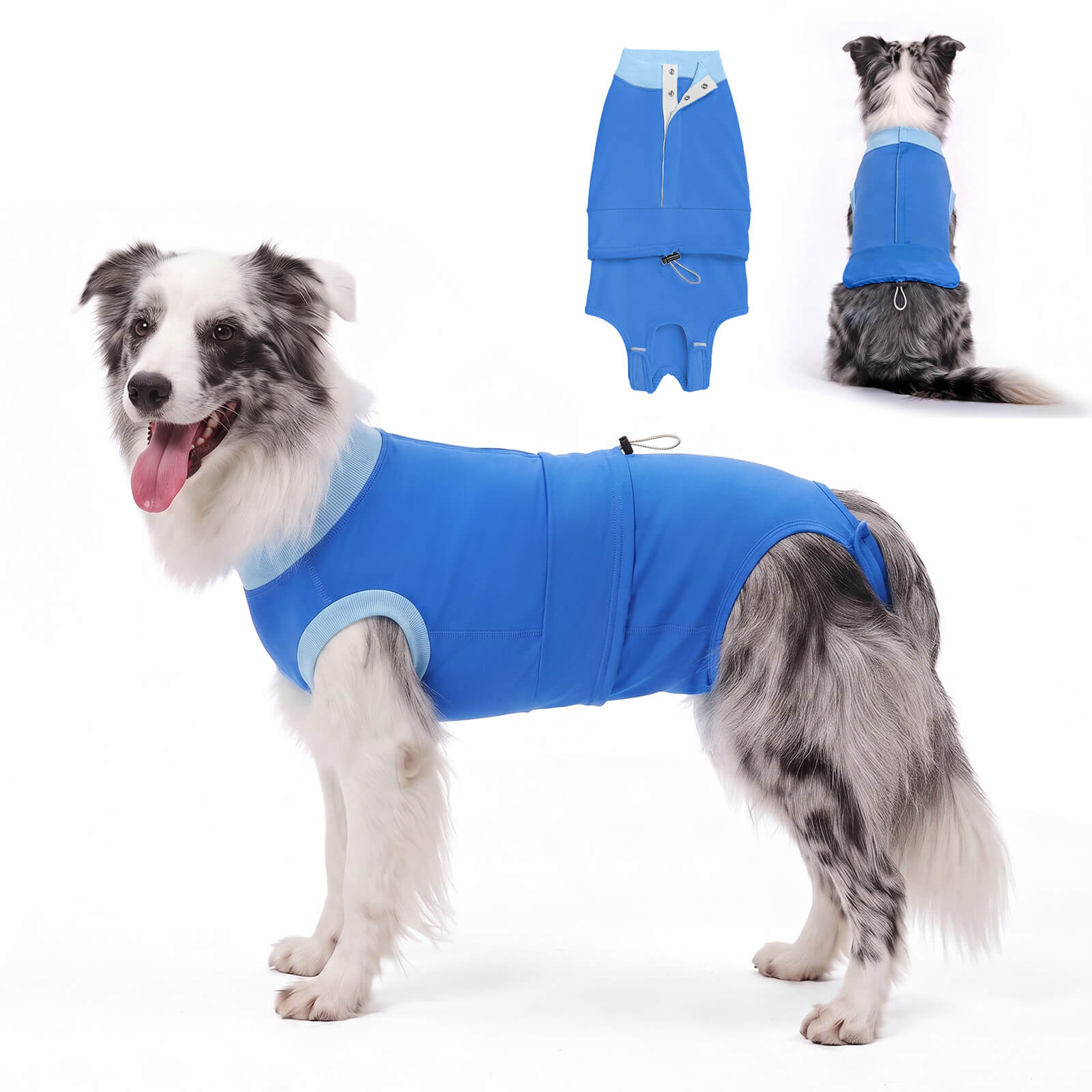Dog Recovery Suit-supet