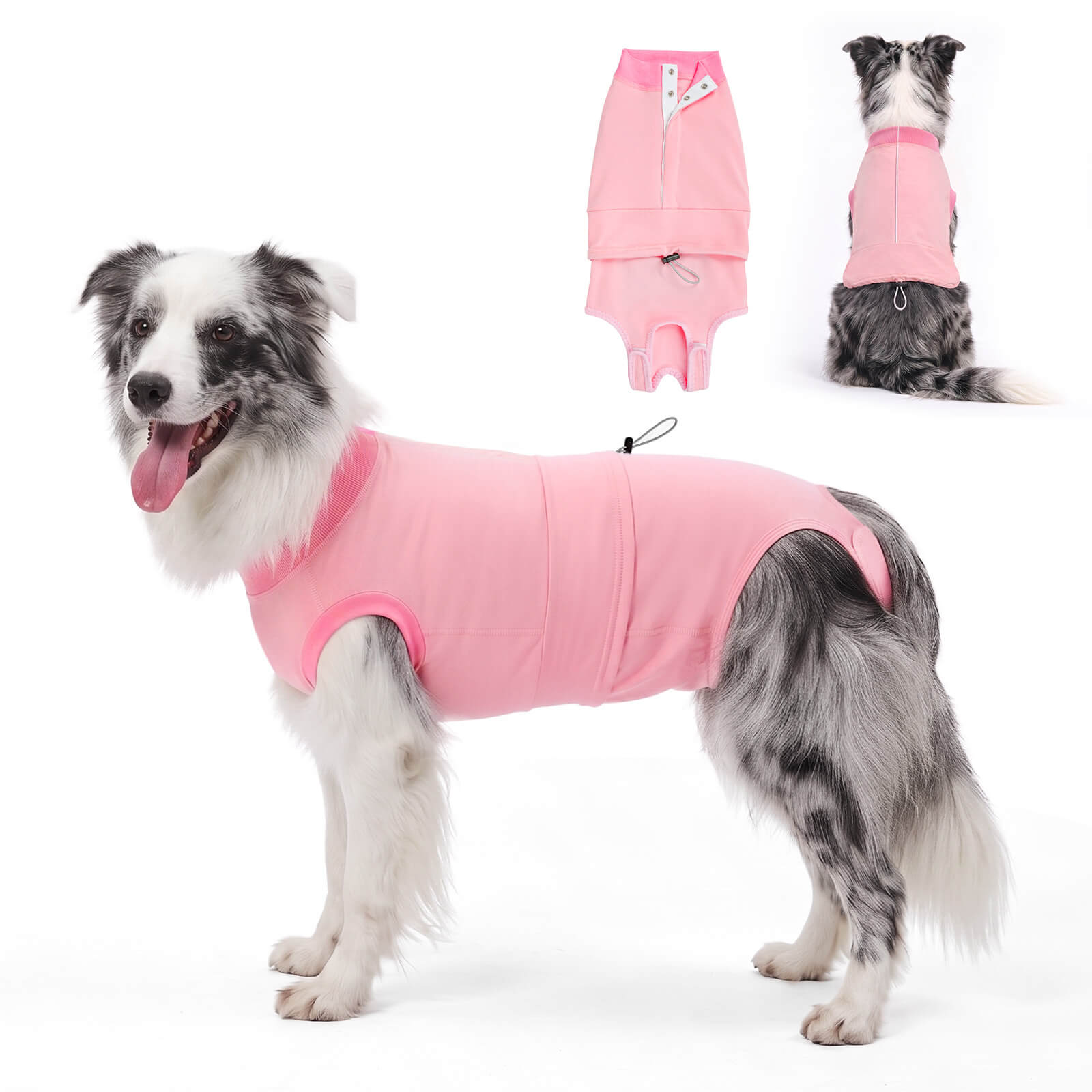 Dog Recovery Suit-supet