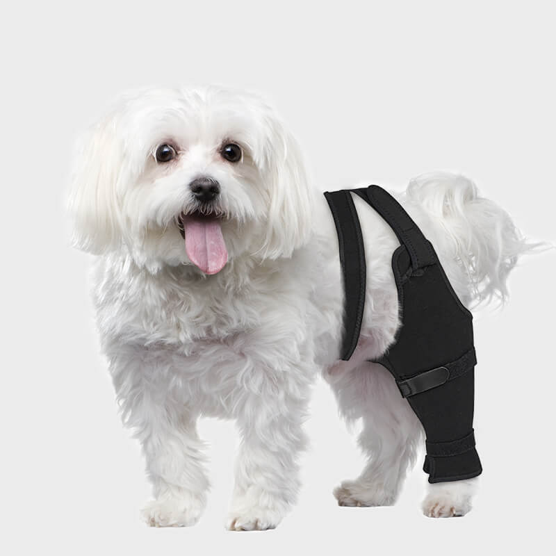 Dog Single Rear Leg Sleeve_black-supet