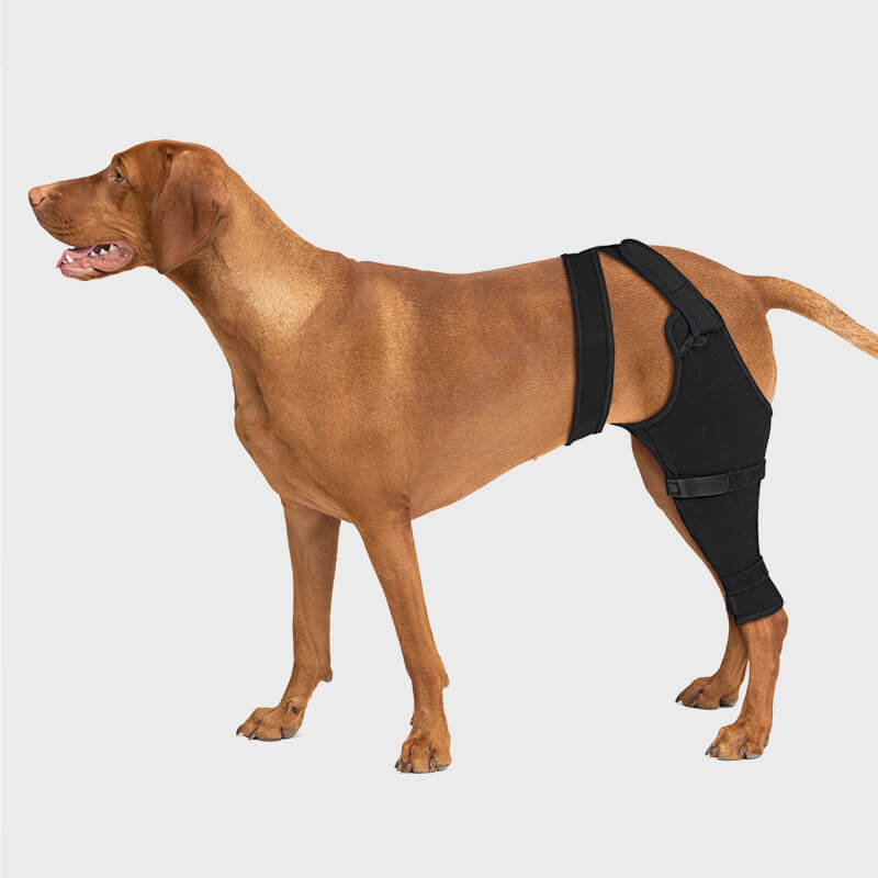 Dog Single Rear Leg Sleeve_black-supet