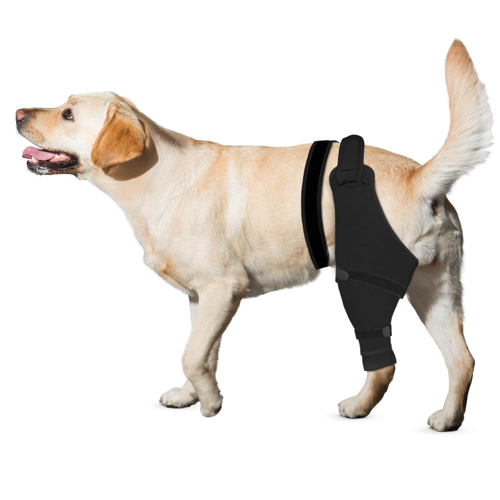Supet Dog Rear Leg Sleeve to Stop Licking