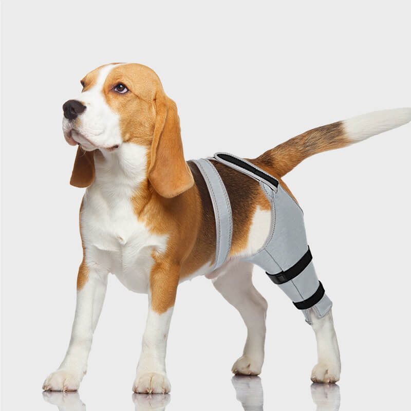 Dog Single Rear Leg Sleeve_grey-supet