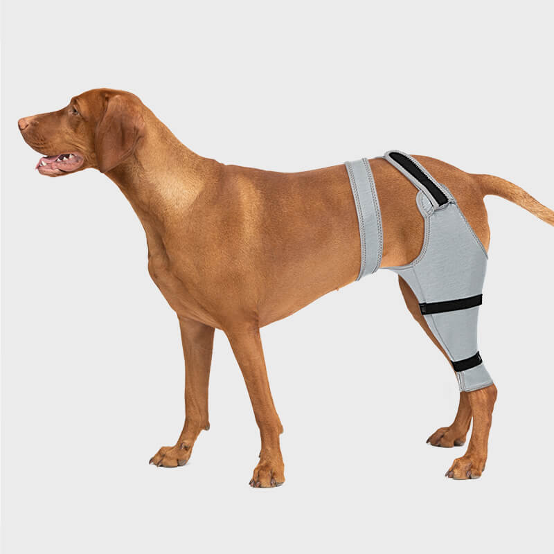Dog Single Rear Leg Sleeve_grey-supet