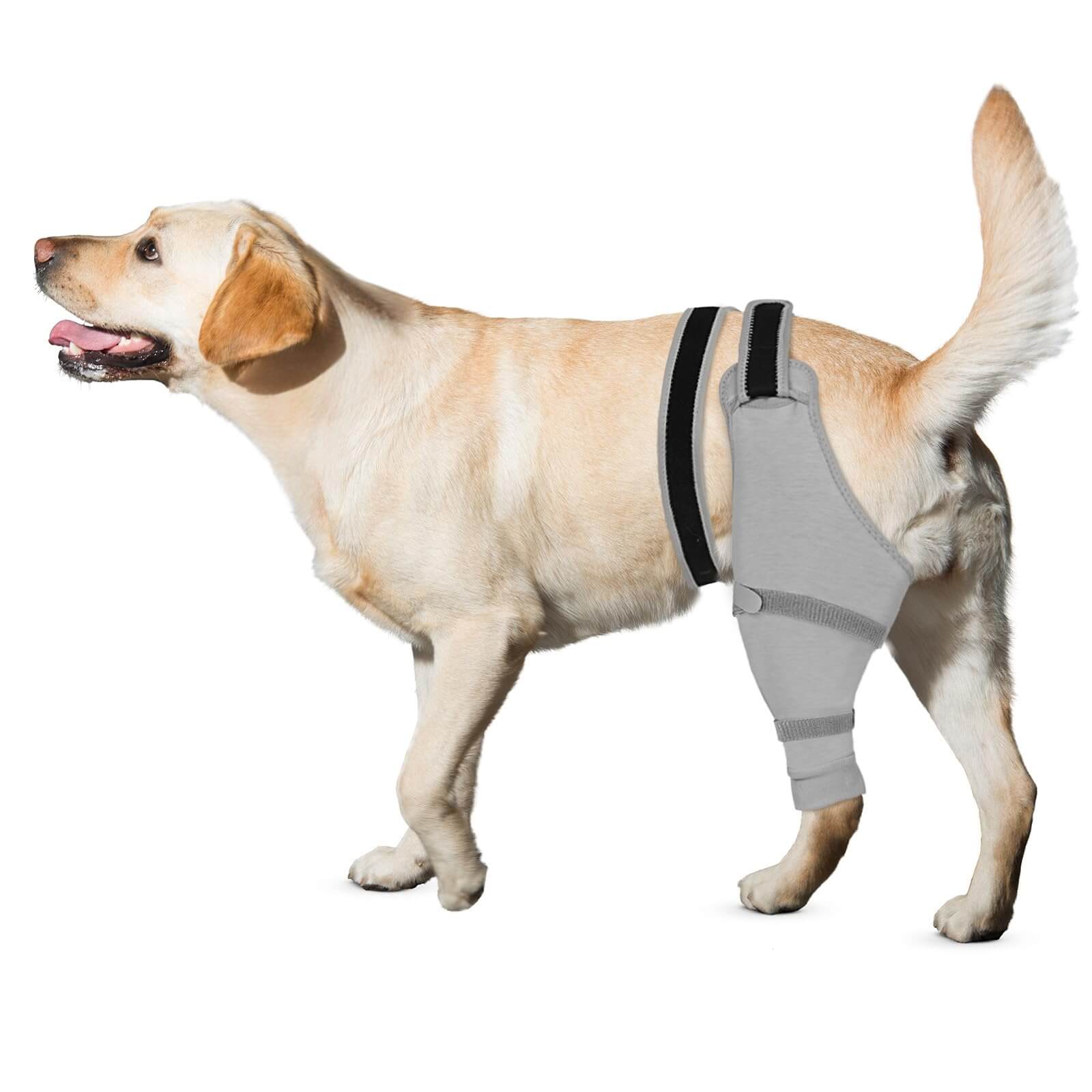 Supet Dog Rear Leg Sleeve to Stop Licking