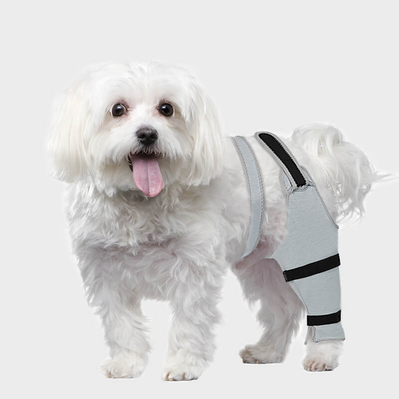 Dog Single Rear Leg Sleeve_grey-supet